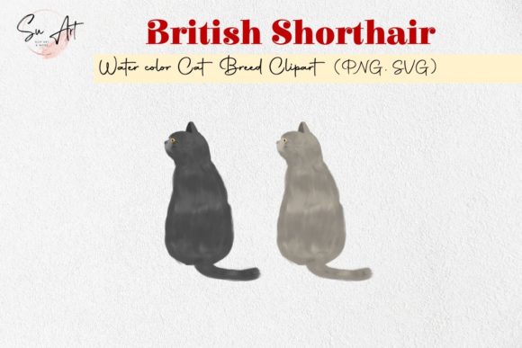 British Shorthair Cat Breed Embroidery Review